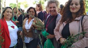 Lee más sobre el artículo CERES participará en el Consejo de Desarrollo Sostenible para aportar ideas a la Plataforma Feminista de Impacto de Género.